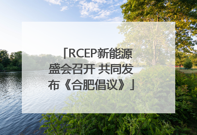 RCEP新能源盛会召开 共同发布《合肥倡议》