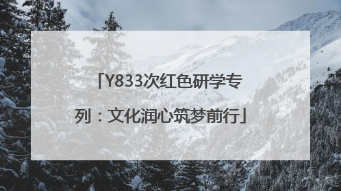 Y833次红色研学专列：文化润心筑梦前行