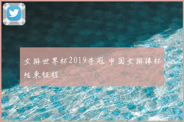 女排世界杯2019夺冠 中国女排捧杯结束征程