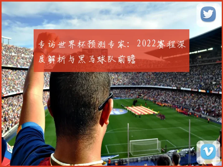 专访世界杯预测专家:2022赛程深度解析与黑马球队前瞻