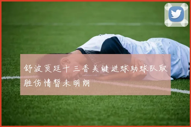 舒波莫廷十三香关键进球助球队取胜伤情暂未明朗