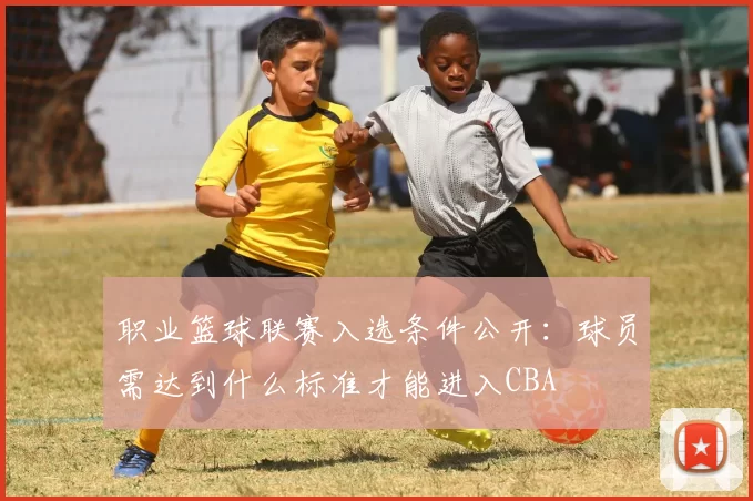 职业篮球联赛入选条件公开：球员需达到什么标准才能进入CBA