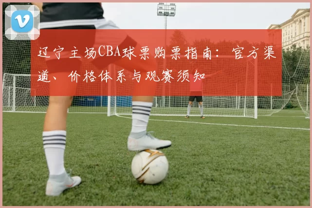 辽宁主场CBA球票购票指南：官方渠道、价格体系与观赛须知