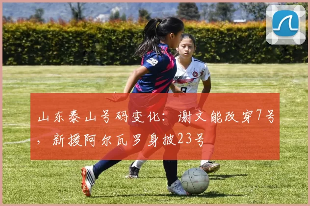 山东泰山号码变化：谢文能改穿7号，新援阿尔瓦罗身披23号