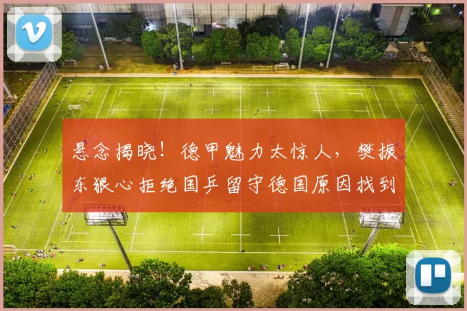 悬念揭晓！德甲魅力太惊人，樊振东狠心拒绝国乒留守德国原因找到_选手_乒乓球_竞技