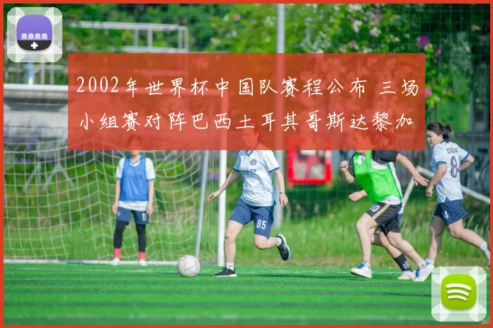 2002年世界杯中国队赛程公布 三场小组赛对阵巴西土耳其哥斯达黎加