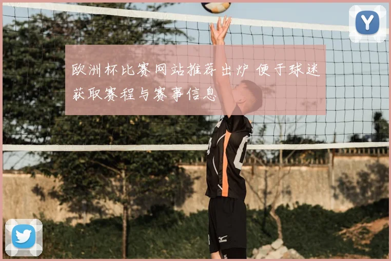 欧洲杯比赛网站推荐出炉 便于球迷获取赛程与赛事信息