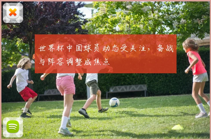 世界杯中国球员动态受关注,备战与阵容调整成焦点