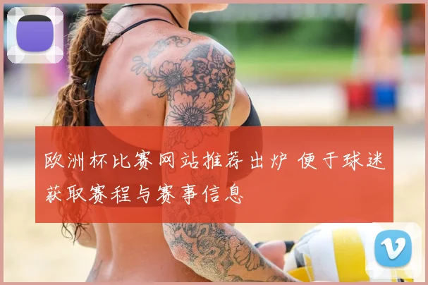 欧洲杯比赛网站推荐出炉 便于球迷获取赛程与赛事信息