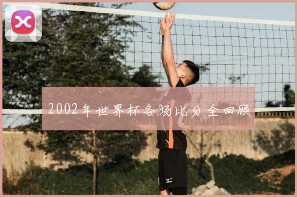 2002年世界杯各场比分全回顾