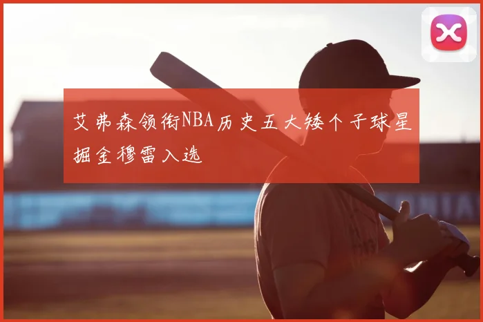 艾弗森领衔NBA历史五大矮个子球星掘金穆雷入选
